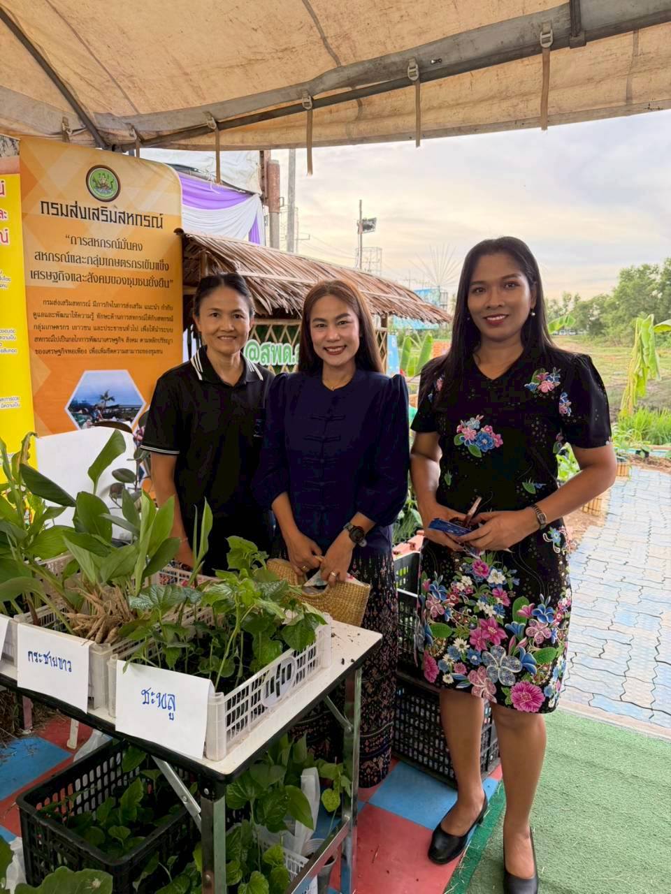 title - ส.ป.ก.สตูล ร่วมจัดกิจกรรมประจำบูธ 
